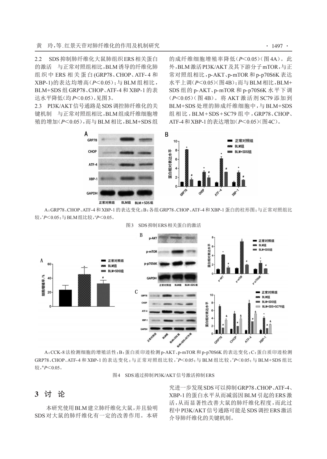 紅景天苷對肺纖維化的作用及機制研究_3.jpeg